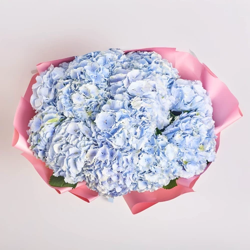 Product image Bouquet of 15 Blue Hydrangeas, packaging: Gradiens pink, vendor code: 3819