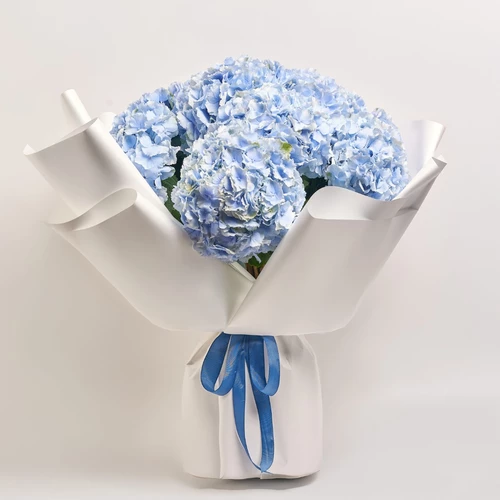 Product image , vendor code: 