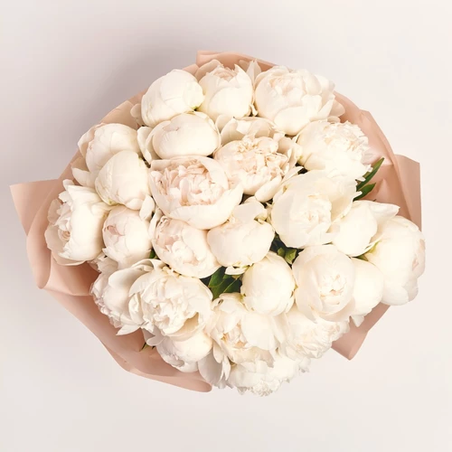 Product image Bouquet of 25 Peonies Madame Claude Tain, packaging: Powder, vendor code: 3821