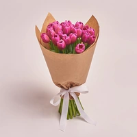 Bouquet of 25 Purple Tulips 