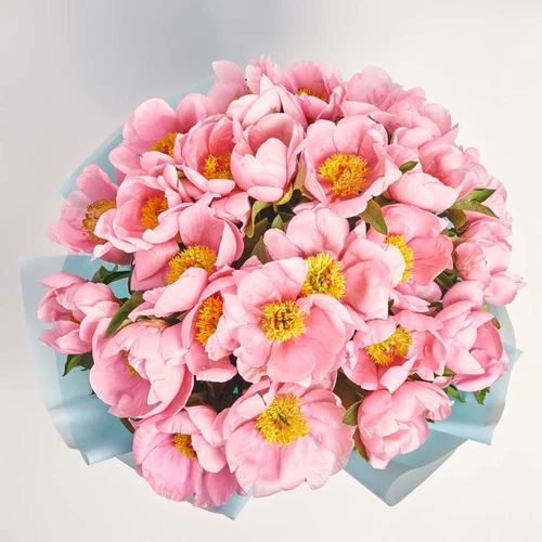 Product image Bouquet of 25 Peonies Salmon Saucer, packaging: Blue, vendor code: 3822