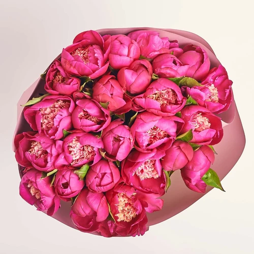 Product image Bouquet of 25 White Cap Peonies, packaging: Gradiens tiffany, vendor code: 3823