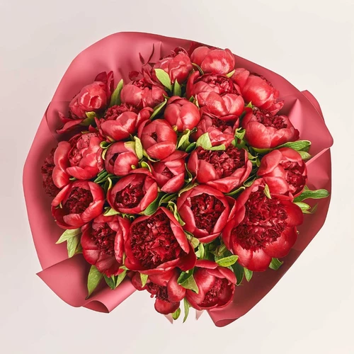 Product image Bouquet of 25 Peonies Red Charm, packaging: Coral, vendor code: 3824