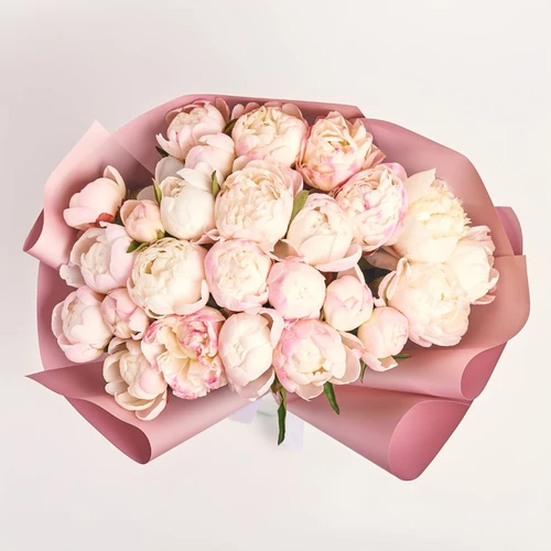 Product image Bouquet of 25 Peonies Gardenia, packaging: Gradiens tiffany, vendor code: 3826