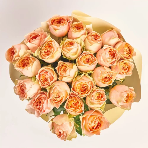 Product image Bouquet 25 Roses Greviti, packaging: Gradiens pink, vendor code: 3827