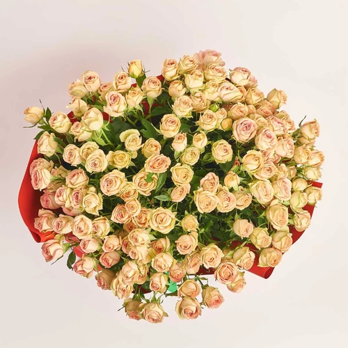 Product image Bouquet of 25 Roses Spray Azor, packaging: Red, vendor code: 3828