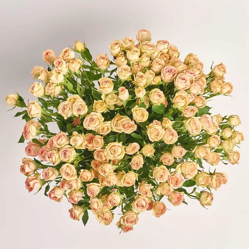 Product image Bouquet of 25 Roses Spray Azor, packaging: Without packaging, vendor code: 3828