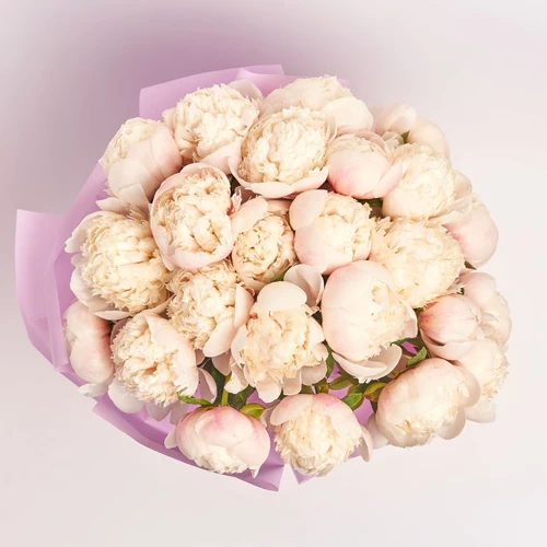 Product image Bouquet of 25 Peonies Owen Cousin, packaging: Purple, vendor code: 3829