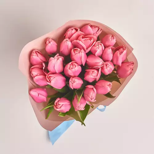Изображение товара Букет 25 Розовых тюльпанов, упаковка: Пудровая, артикул: 2263