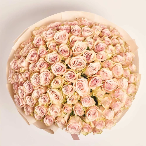 Product image Bouquet of 101 Roses Pink Athena, packaging: Kafin cream, vendor code: 3834