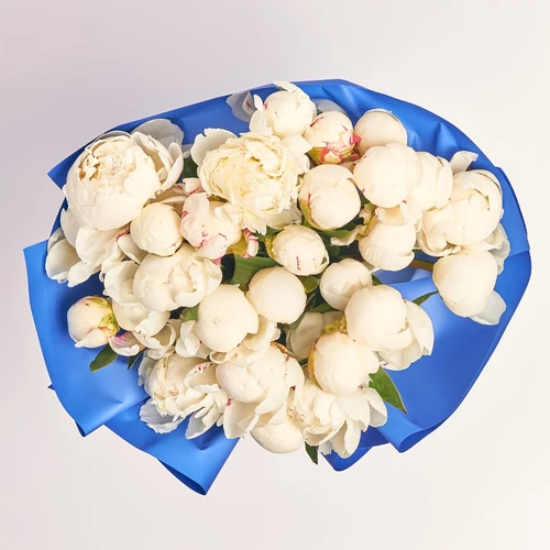 Product image Bouquet of 25 Peonies Mary Nicholls, packaging: Gradiens blue, vendor code: 3835