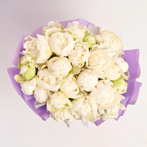 Product image Bouquet of 25 Peonies Ivory Victory, packaging: Purple, vendor code: 3837