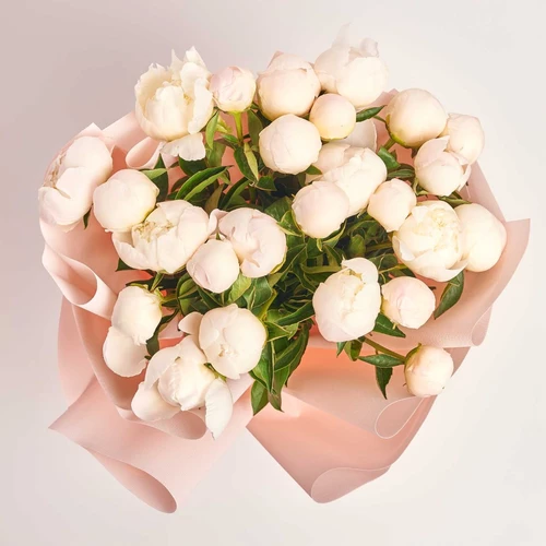 Product image Bouquet of 25 Peonies Mazers Choice, packaging: Kafin rose, vendor code: 3839