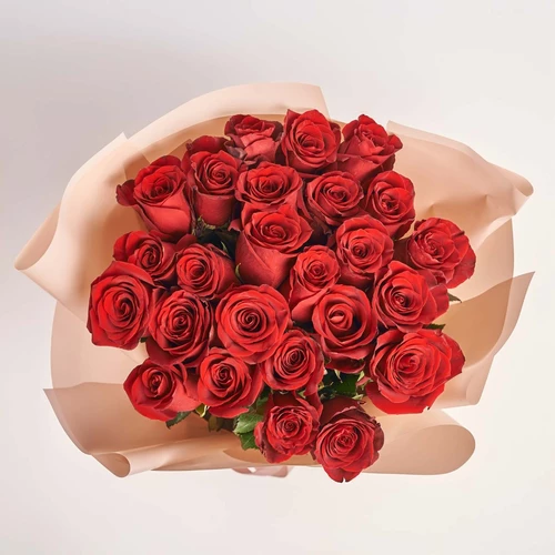 Product image Bouquet of 25 Red Roses Explorer, packaging: Powder, vendor code: 3840
