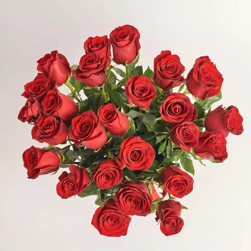 Product image Bouquet of 25 Red Roses Explorer, packaging: Without packaging, vendor code: 3840