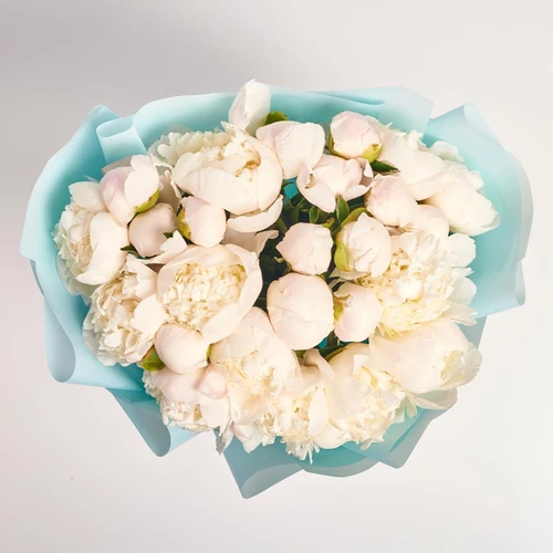 Изображение товара Букет 25 Пионов Принцесс Брайд, упаковка: Голубая, артикул: 3841