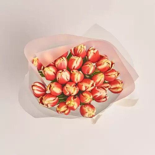 Изображение товара Букет 25 Желто-красных тюльпанов, упаковка: Прозрачная, артикул: 2258