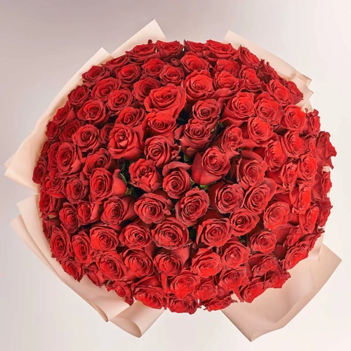 Product image Bouquet 101 Red Rose Explorer, packaging: Powder, vendor code: 3842