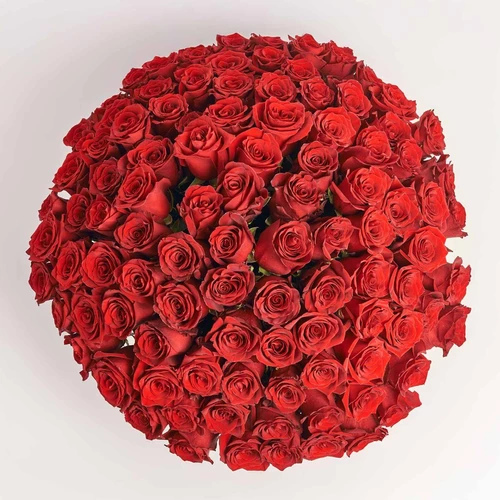Product image Bouquet 101 Red Rose Explorer, packaging: Without packaging, vendor code: 3842