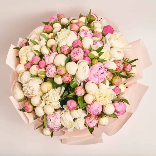 Product image Bouquet 101 White and Pink Peony Mix, packaging: Kafin rose, vendor code: 3847