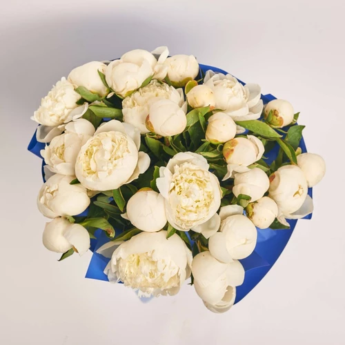 Product image Bouquet of 25 Peonies Duchesse De Nemours, packaging: Gradiens blue, vendor code: 3848