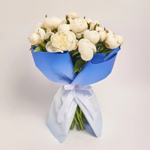 Product image , vendor code: 