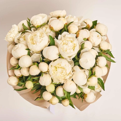 Product image Bouquet 51 Peony Duchess De Nemours, packaging: Kafin cream, vendor code: 3849