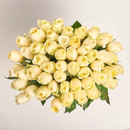 Product image Bouquet of 51 Cream Roses, packaging: Without packaging, vendor code: 3850