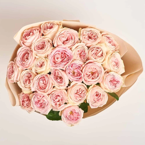 Product image Bouquet of 25 Light Pink peony Roses, packaging: Kafin cream, vendor code: 3851