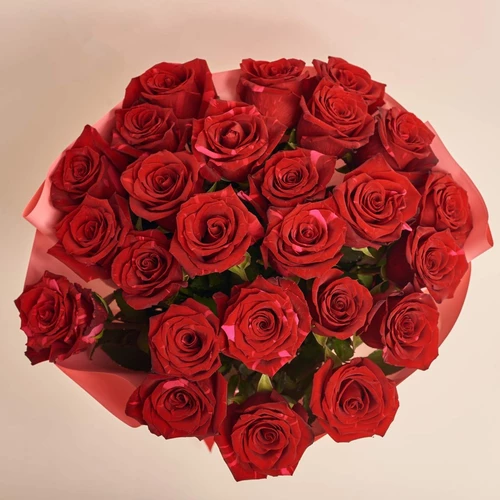 Product image Bouquet of 25 Roses Red Panther, packaging: Gradiens pink, vendor code: 3861