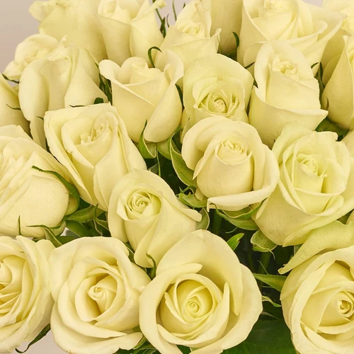 Product image Bouquet of 25 Roses Noel, packaging: Gradiens blue, vendor code: 3862