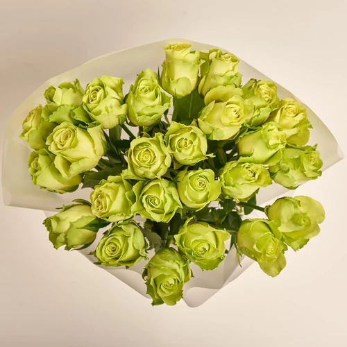 Product image Bouquet of 25 Green Roses, packaging: Transparent, vendor code: 3863