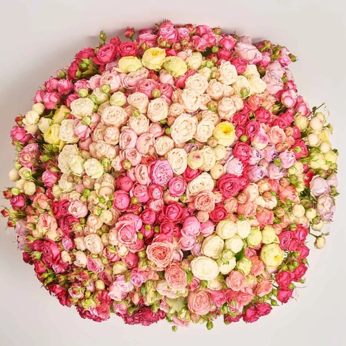 Product image Bouquet of 151 Roses spray mix, packaging: Without packaging, vendor code: 3864