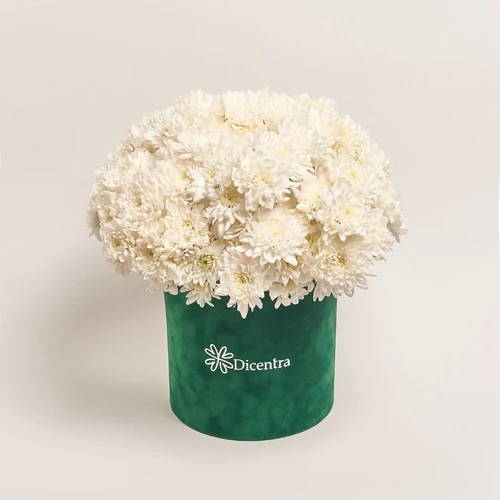 Product image Box of 25 White Chrysanthemums, packaging: Green, vendor code: 3866