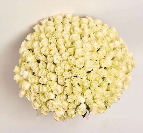 Product image Bouquet 151 White Rose, packaging: Without packaging, vendor code: 3874