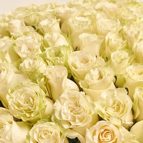 Product image Bouquet 151 White Rose, packaging: Without packaging, vendor code: 3874