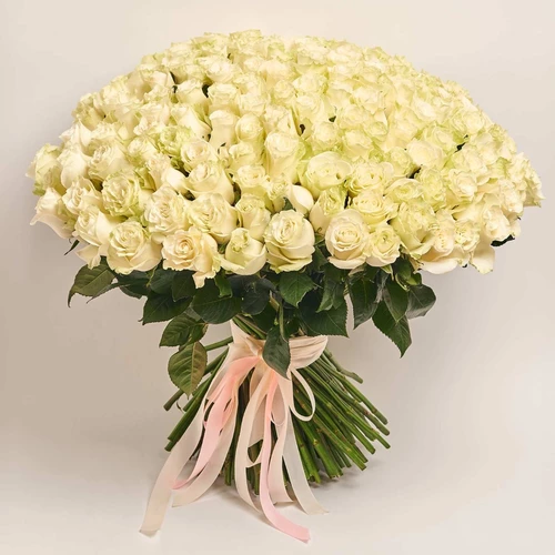 Product image Bouquet 151 White Rose, packaging: Without packaging, vendor code: 3874