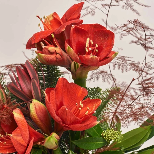 Product image Christmas Bouquet #15, vendor code: 3878