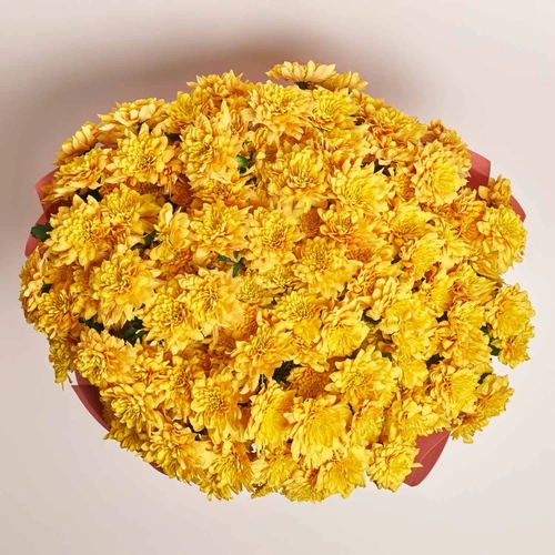 Product image Bouquet of 25 Orange Chrysanthemums, packaging: Kafin rust, vendor code: 3929