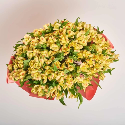 Product image Bouquet of 25 yellow Alstroemerias, packaging: Gradiens pink, vendor code: 3972