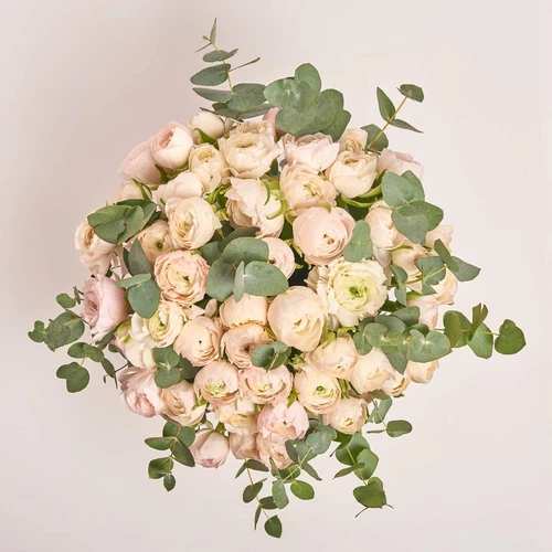 Product image Box 51 soft pink Ranunculus, packaging: Pink, vendor code: 3973