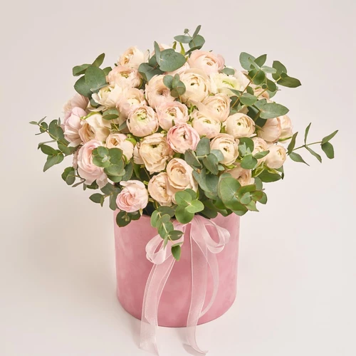 Product image Box 51 soft pink Ranunculus, packaging: Pink, vendor code: 3973