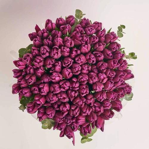Product image Box of 101 Purple Tulips, packaging: Pink, vendor code: 3975