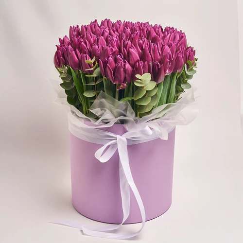 Product image Box of 101 Purple Tulips, packaging: Pink, vendor code: 3975