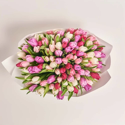 Product image Bouquet of 101 Tulips Tender  Мix, packaging: White, vendor code: 3977