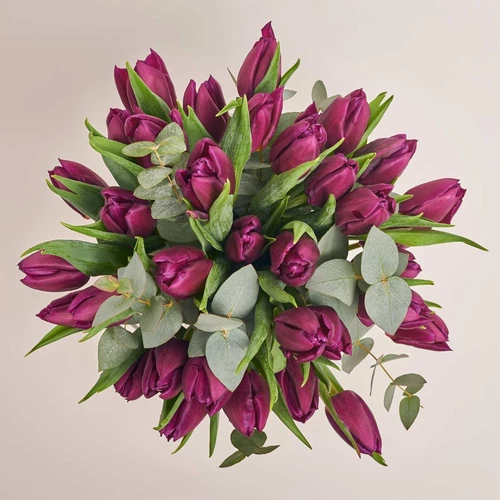 Изображение товара 35 Фиолетовых Тюльпанов и Эвкалипт в керамическом кашпо, артикул: 3987