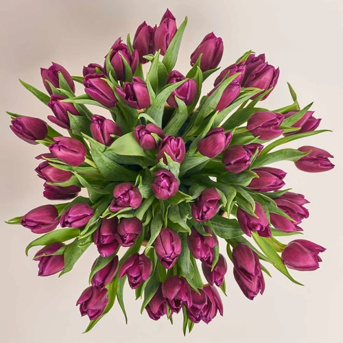Product image 51 Purple Tulips in flowerpot, vendor code: 3988
