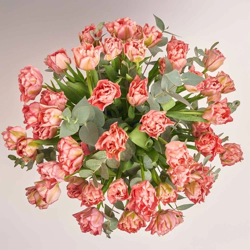 Product image 51 Pink Peony Tulips and Eucaliptus in flowerpot, vendor code: 3989