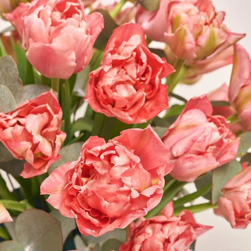 Product image 35 Pink Peony Tulips and Eucaliptus in flowerpot, vendor code: 3990