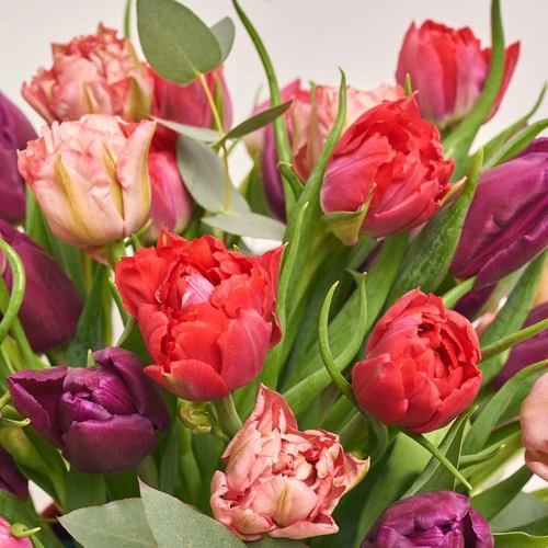 Product image 51 Peony Tulips Mix and Eucaliptus in flowerpot, vendor code: 3991